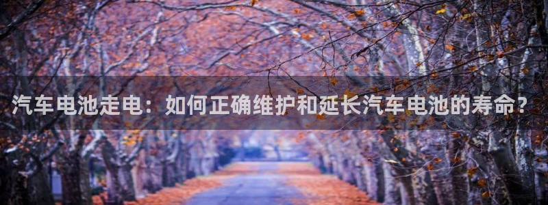 优发国际手机客户端下载安装手机版