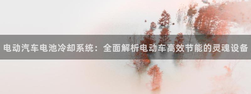 优发国际平台u8是什么公司