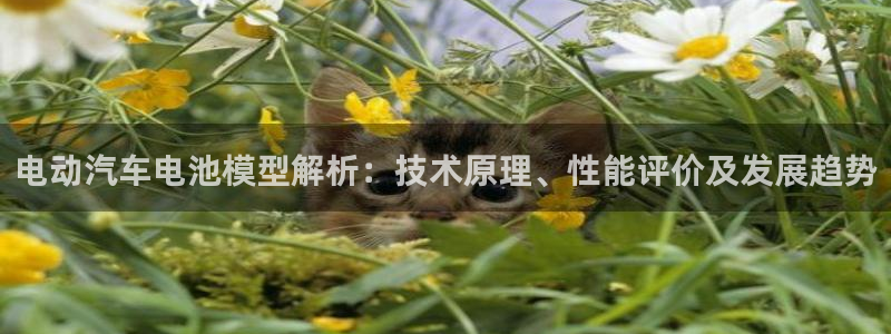 优发国际平台app下载安装