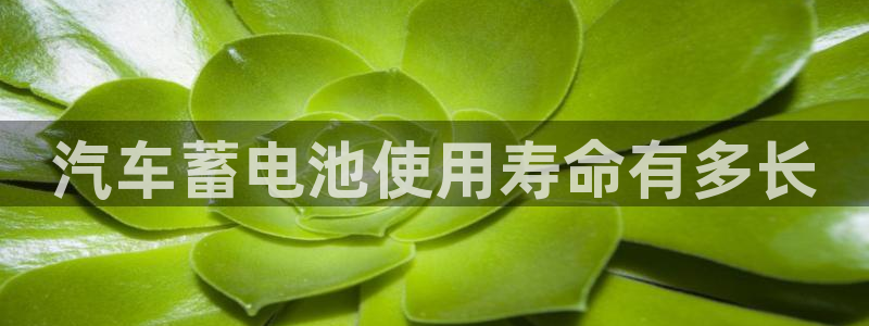 优发国际官网下载安装手机版