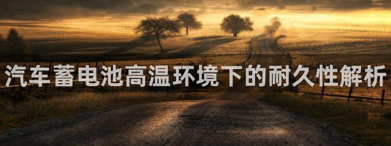 优发国际是大平台吗是真的吗