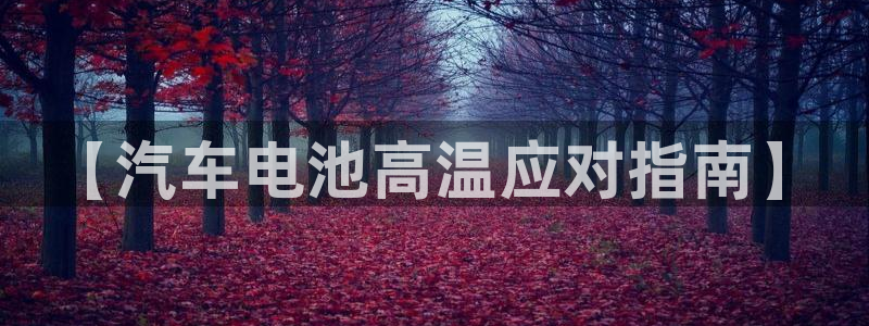 优发国际首页官网