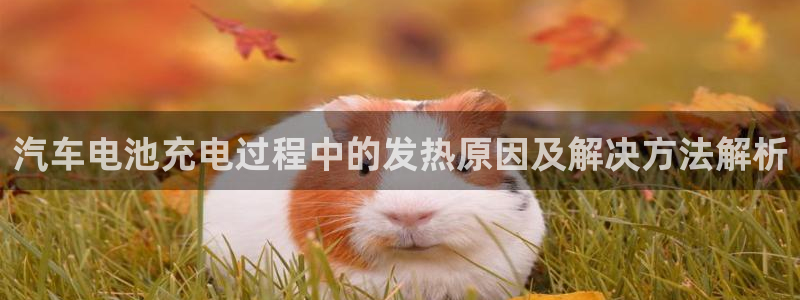 优发国际官网入口app下载苹果