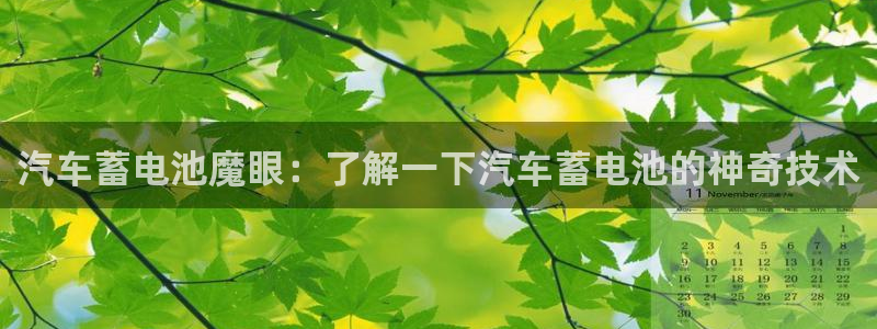 优发国际官网qy88