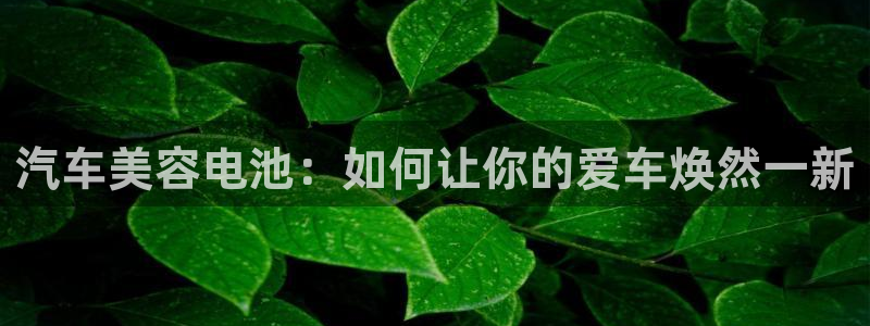 优发国际网官网17w8：汽车美容电池：如