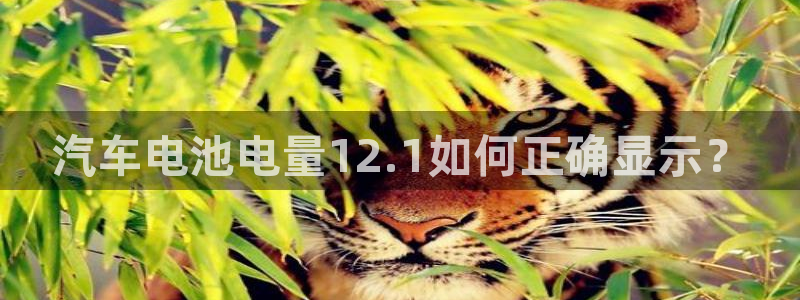 优发国际官方网平台电话：汽车电池电量12.1如何正确显示？