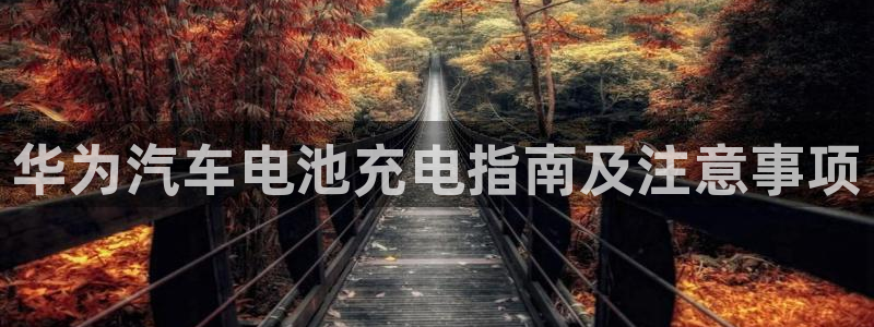 优发国际合并到哪里了最新消息
