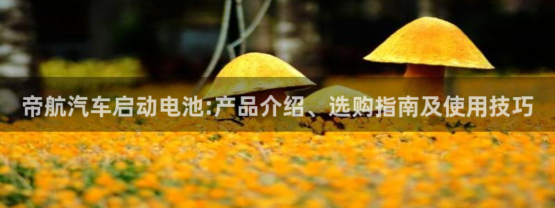 优发国际官网下载安装苹果