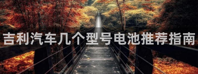 优发国际手机app下载安装官网