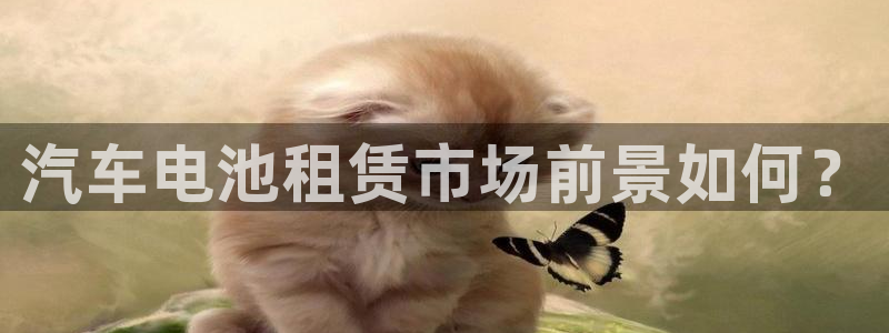 优发娱乐pc版官网