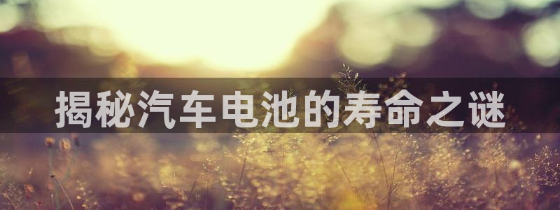 优发国际的官网是