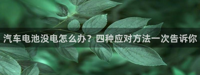 优发国际手机版唯一官网是什么