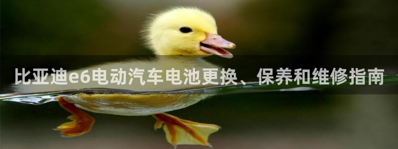 优发国际官方网手机版app