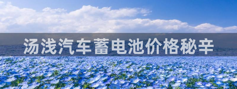 优发国际提现不了