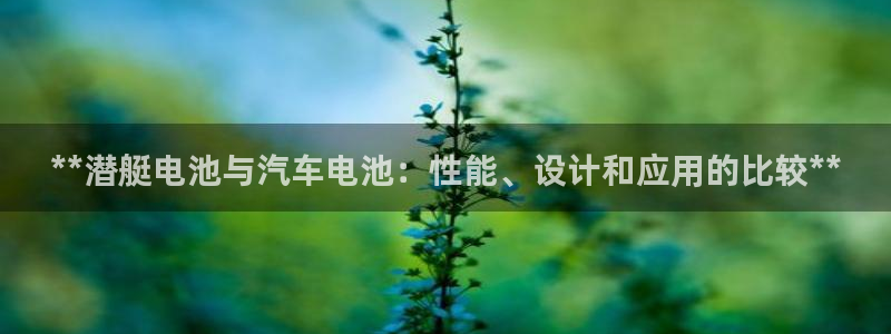 优发国际官方网手机版下载安卓