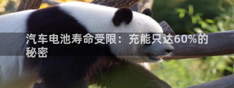 优发国际平台APP