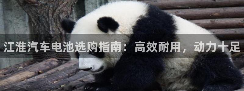 优发国际官网手机号