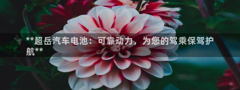 优发国际下载
