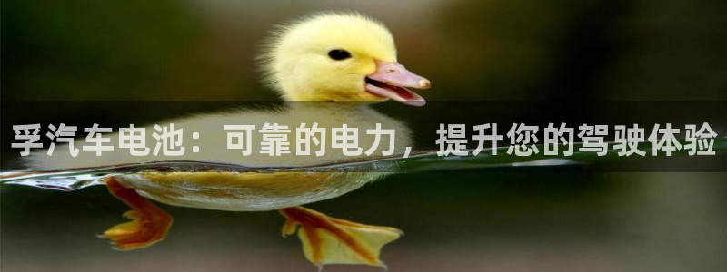 优发国际官网登陆