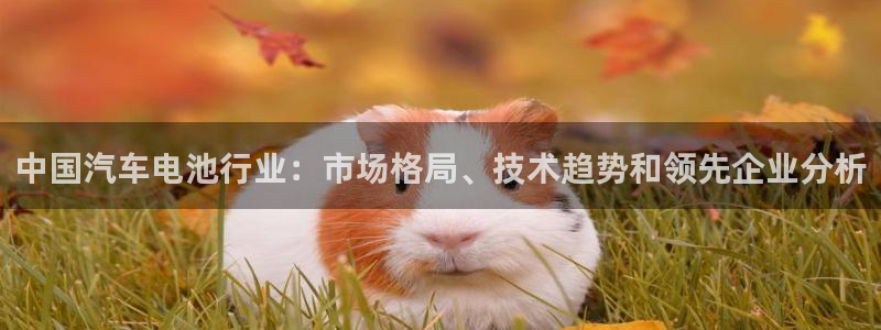 优发娱乐pc版官网