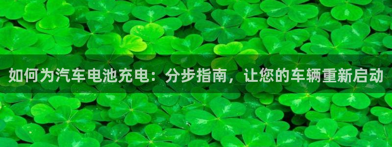 优发国际手机客户端怎么下载