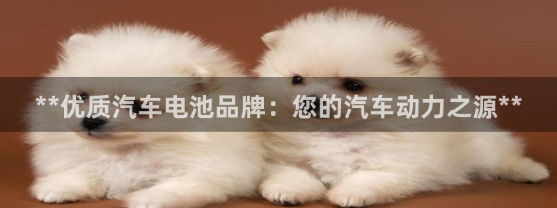 优发国际手机客户端下载安装