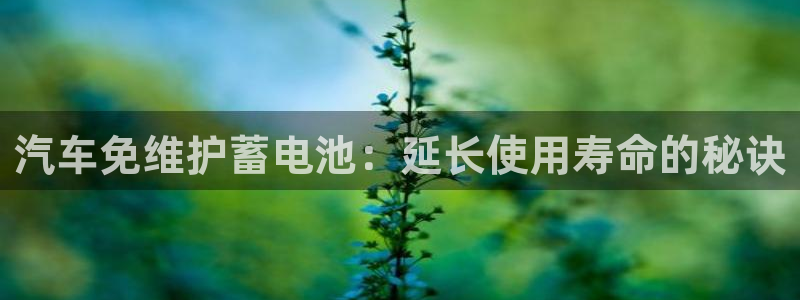 优发国际手机app下载安装最新版