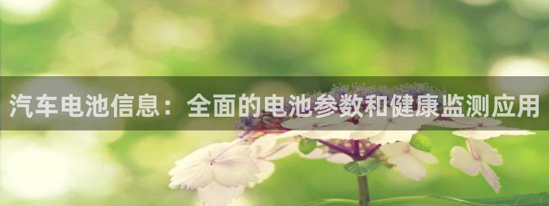 优发国际官方网手机版