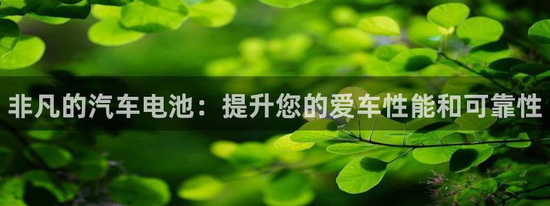 优发国际官网手机版入口