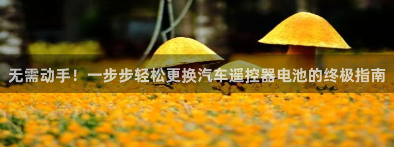 优发国际官网