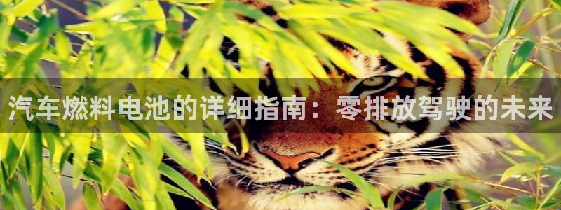 优发国际官网入口app下载