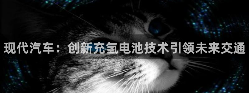 优发国际的官网是什么