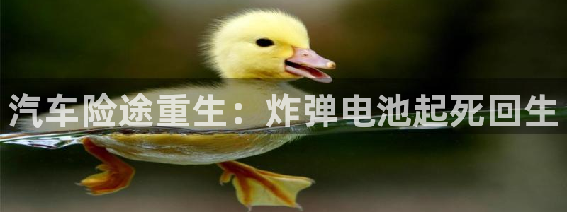 优发国际是大平台吗