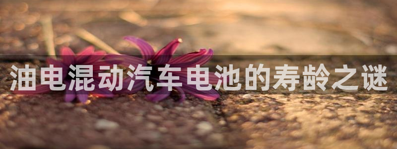 优发国际手机版下载官网