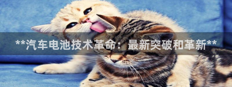 优发国际官网