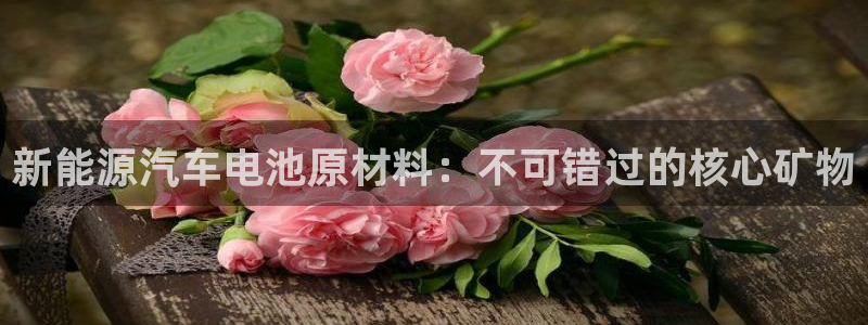 优发国际官方网手机版下载