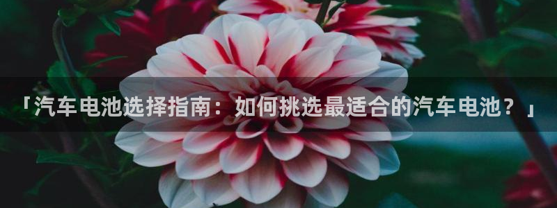 优发国际手机版唯一官网下载