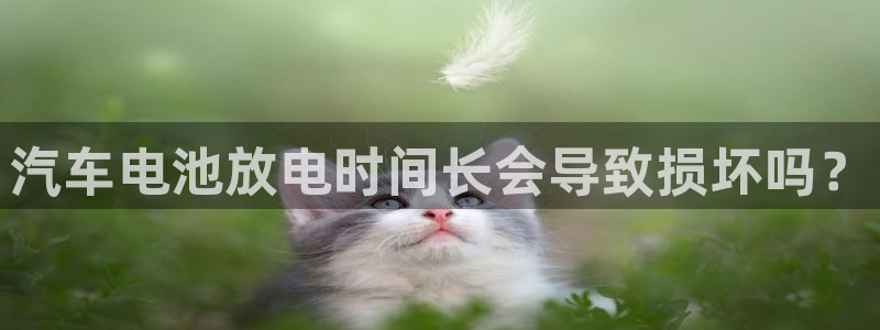 优发国际平台手机版下载