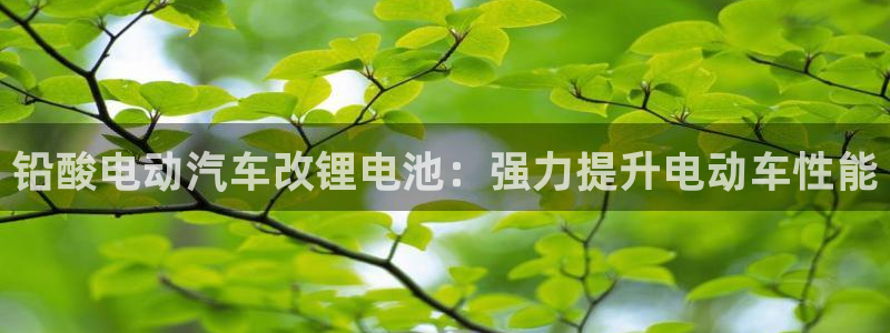 优发国际app官网下载安装手机版