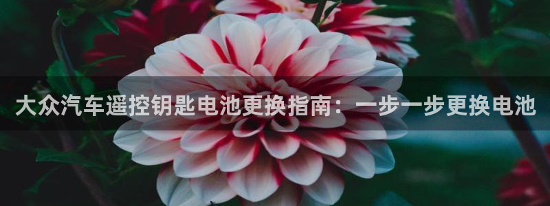 优发国际网官网