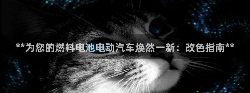 优发国际网官网17o8