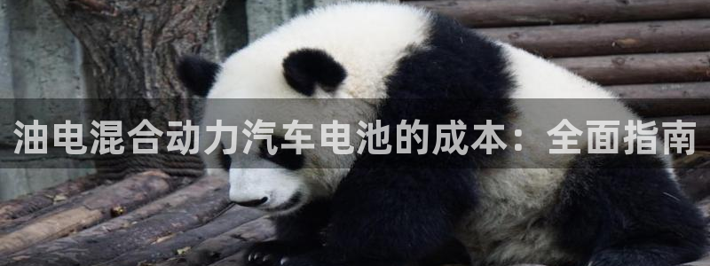 优发国际平台手机版下载安装