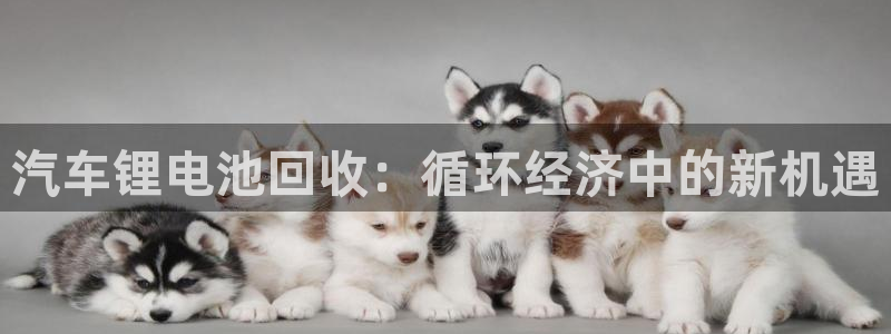 优发国际官网手机版