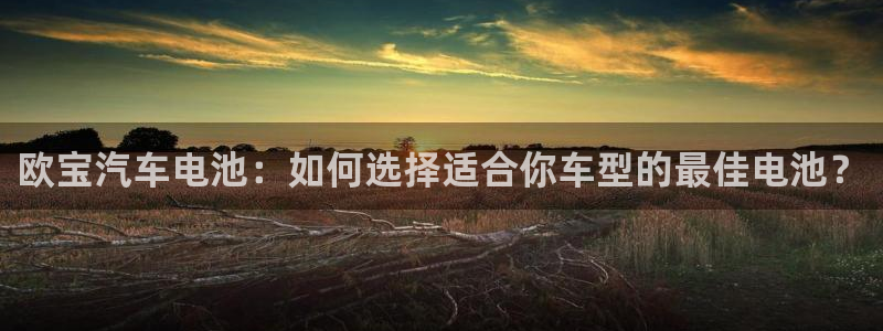 优发国际合并到哪里了