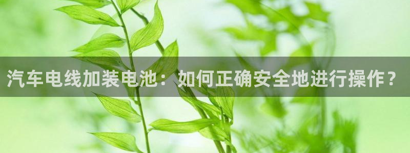 优发国际游戏17岁能玩吗