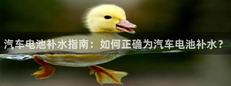优发国际手机版客户端