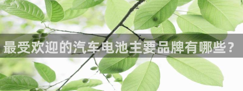 优发国际官网网站