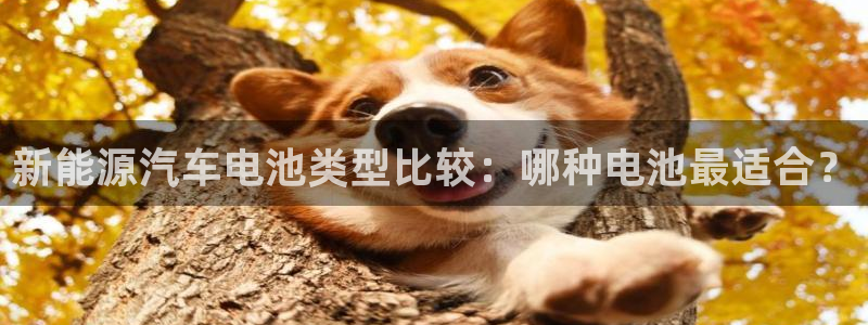 优发国际手机客户端