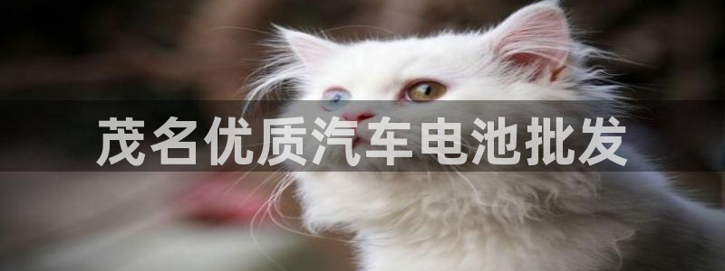 优发国际安卓版下载安装教程