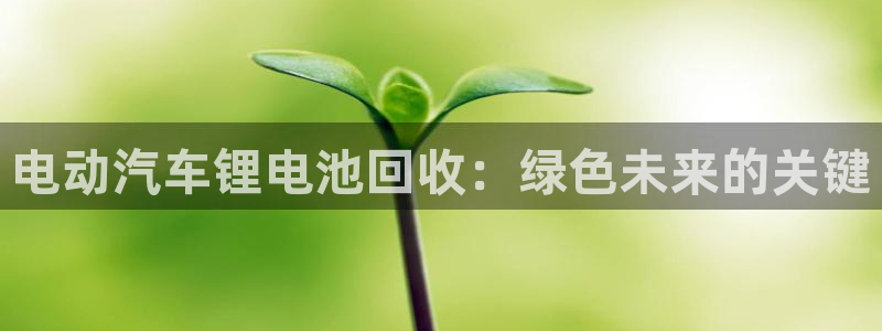 优发国际官网值是多少
